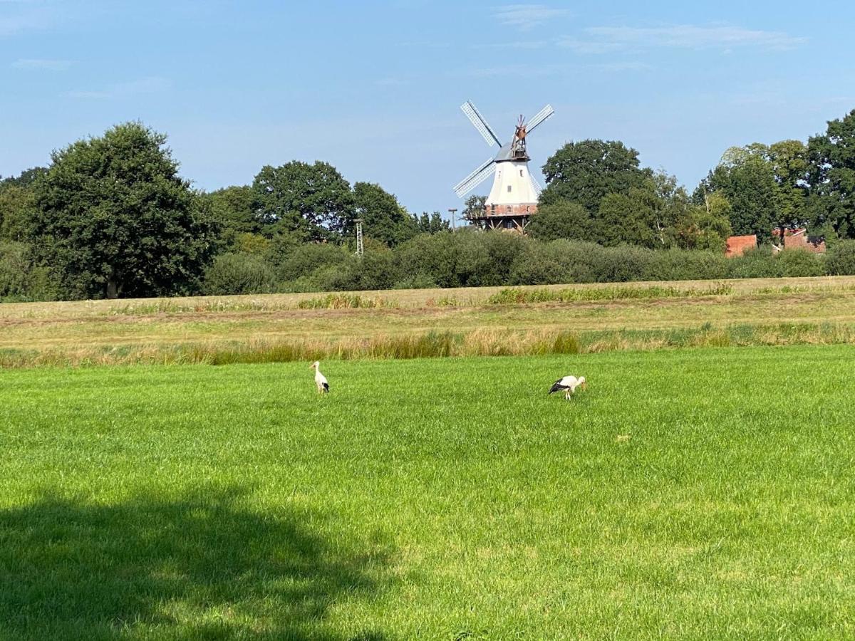 Barssel  Ferienhaus Sonneneck Am Harkebruegger See Mit Saunaヴィラ エクステリア 写真